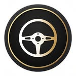 steering